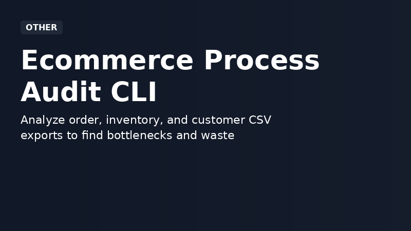 Ecommerce Process Audit CLI demo